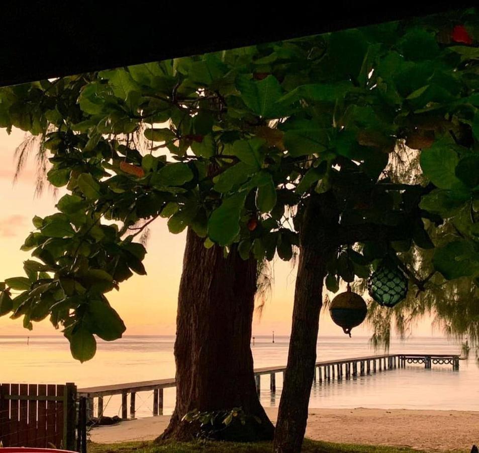Beach De Reve De Moorea Hauru Εξωτερικό φωτογραφία