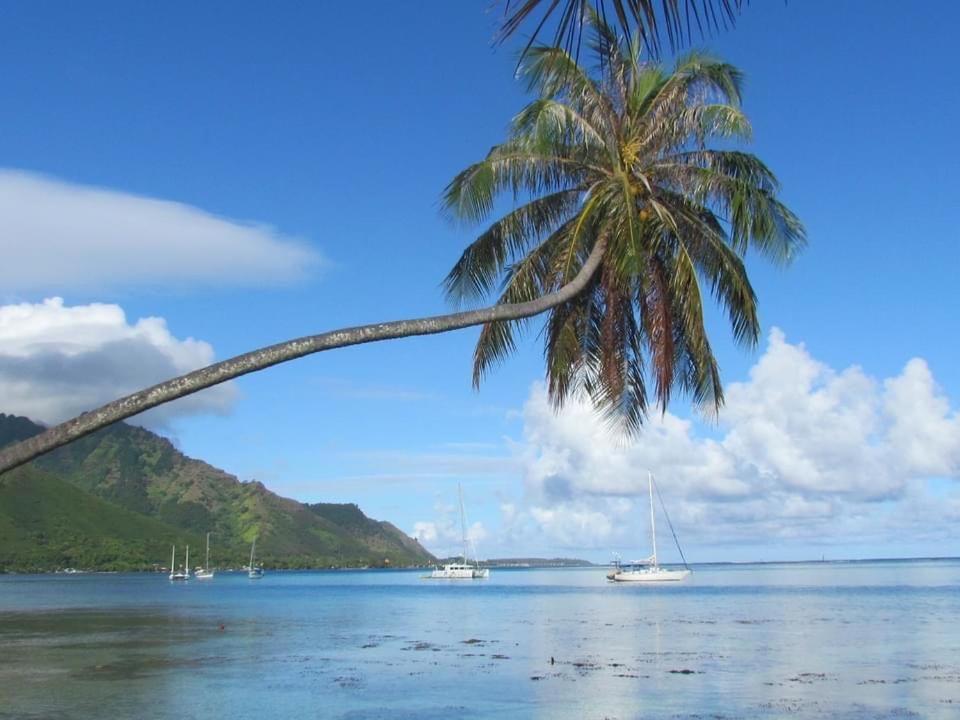 Beach De Reve De Moorea Hauru Εξωτερικό φωτογραφία