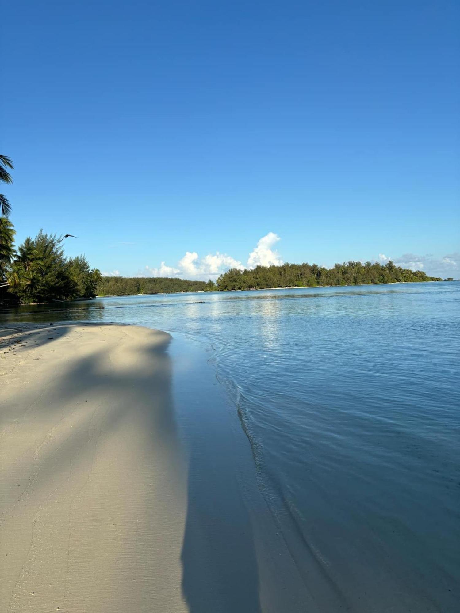 Beach De Reve De Moorea Hauru Εξωτερικό φωτογραφία